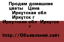 Продам домашние цветы › Цена ­ 500 - Иркутская обл., Иркутск г.  »    . Иркутская обл.,Иркутск г.